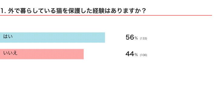 外で暮らしている猫を保護した経験はある？