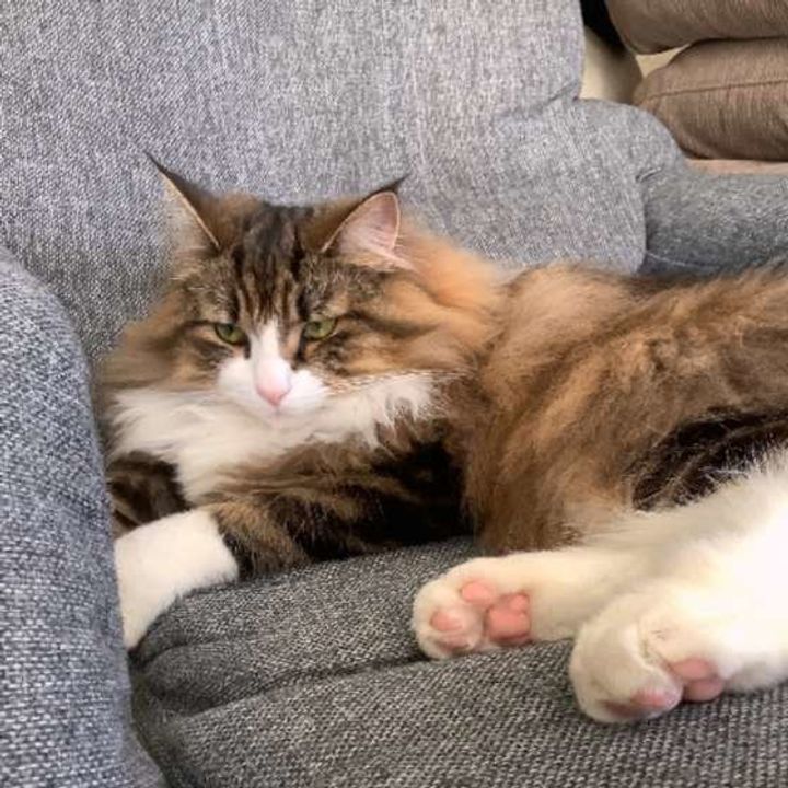 X0avyp2mnhxaxm X0avyp2mnhxaxm