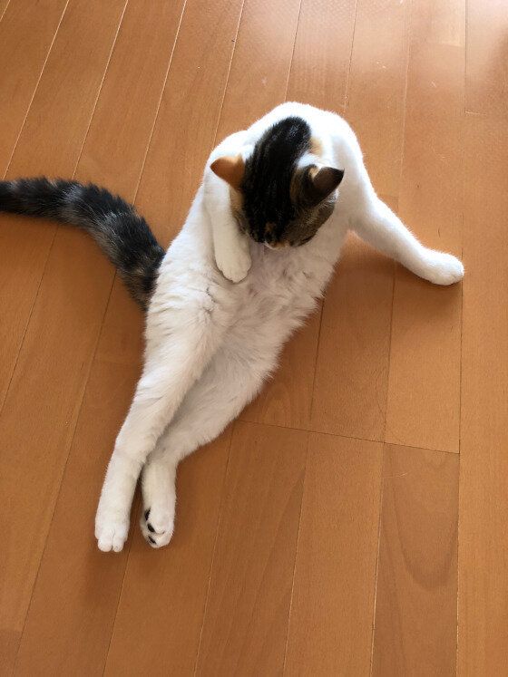 腕が人間みたい