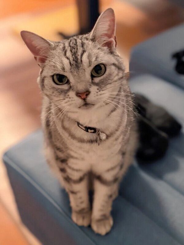 見つめるベルちゃん