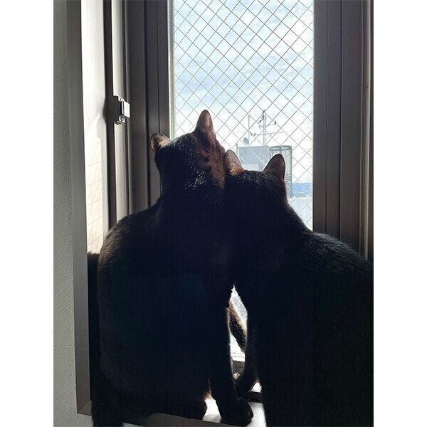 寄り添うねまきちゃん、じんべいちゃん