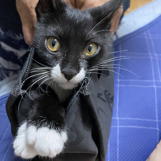 イタズラ中のそらくん