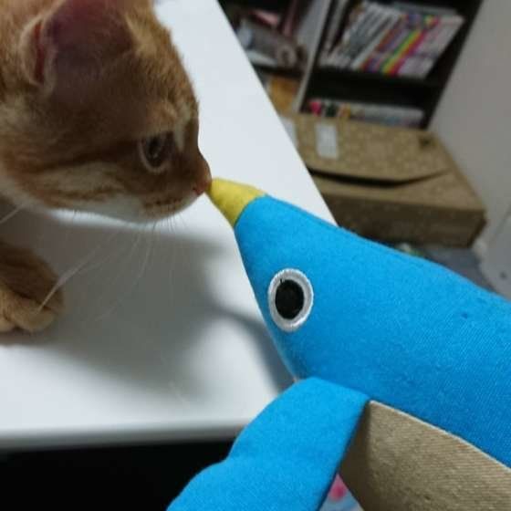 鼻チューしているこてつちゃん