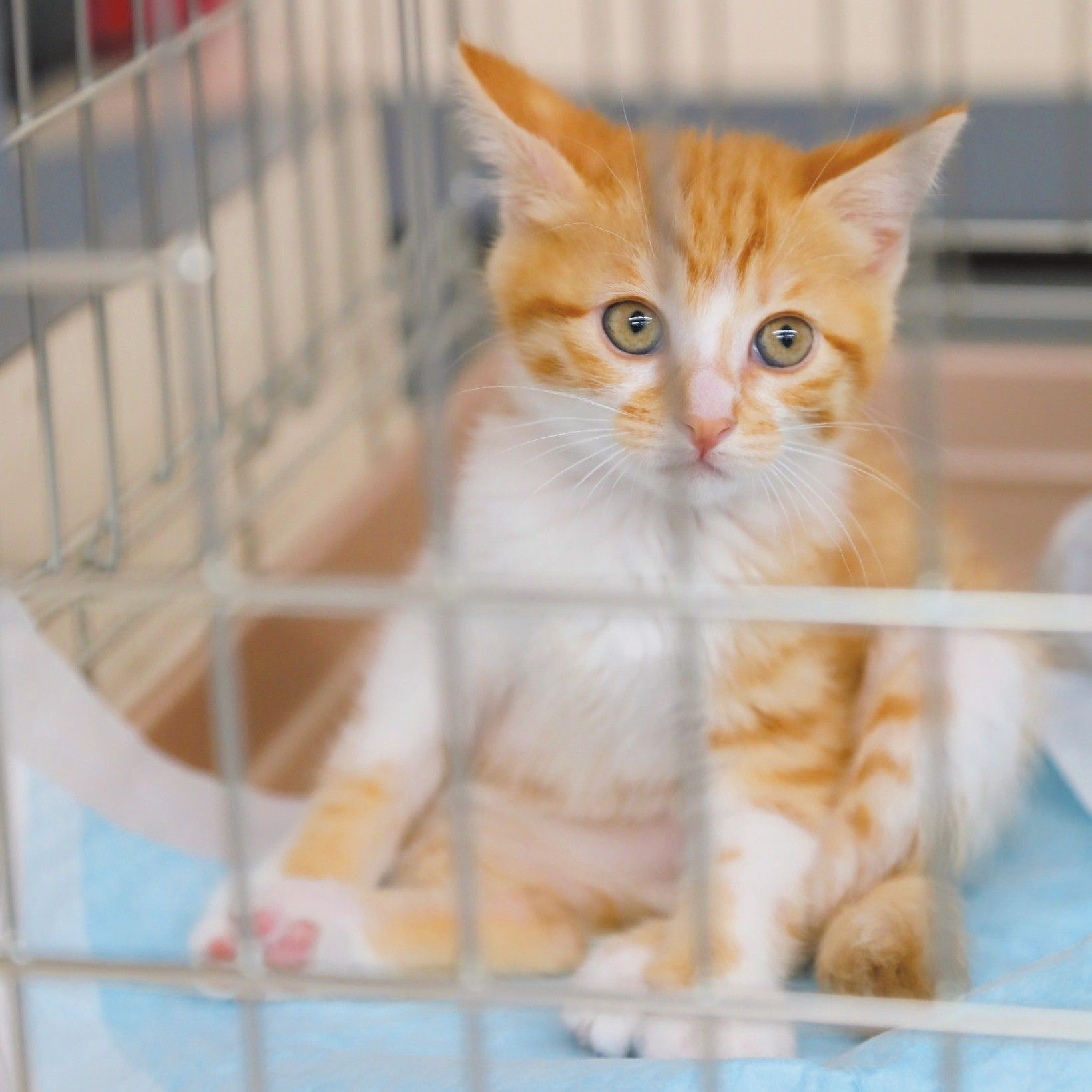 撮影／尾﨑たまき