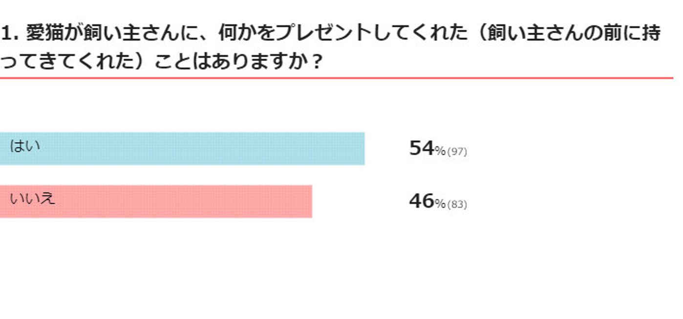 なぜそれを 猫が飼い主に プレゼントするもの から読み取れる心理 獣医師解説 ねこのきもちweb Magazine なぜそれを 猫が飼い主に プレゼントするもの から読み取れる心理 獣医師解説 ねこのきもちweb Magazine