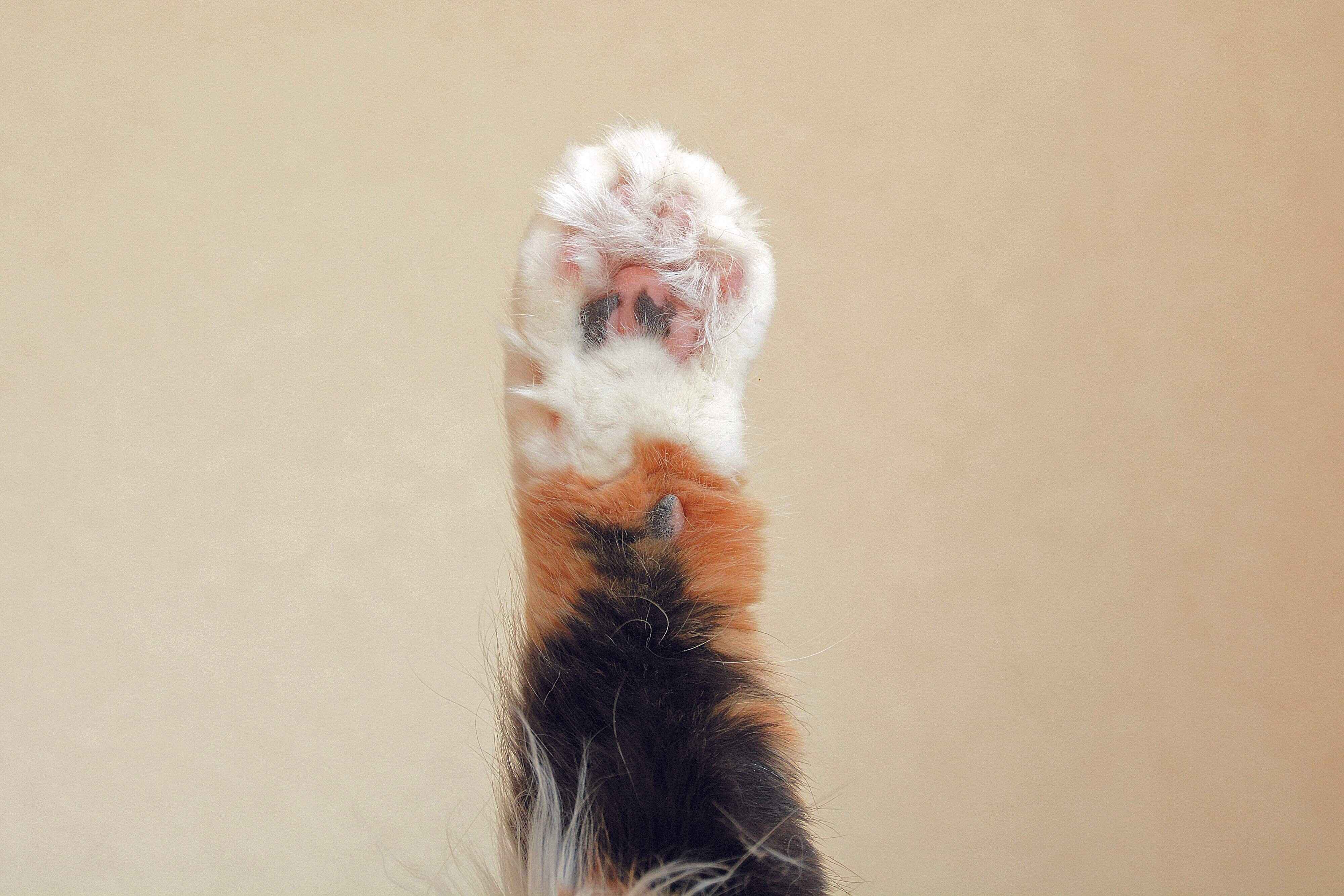 撮影／栗林　愛