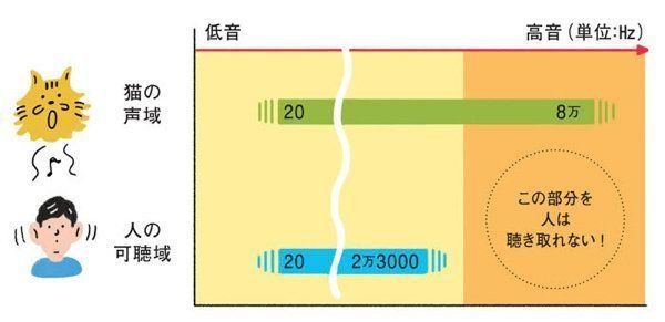 猫のサイレントニャーとは