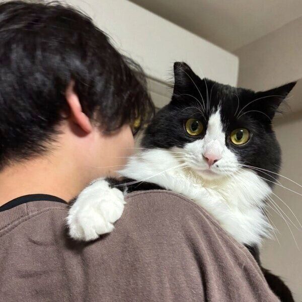 パパさんに抱っこされるテトちゃん