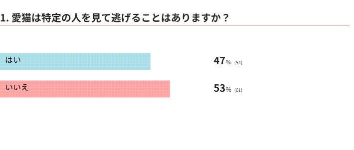 愛猫は特定の人を見て逃げることはありますか？