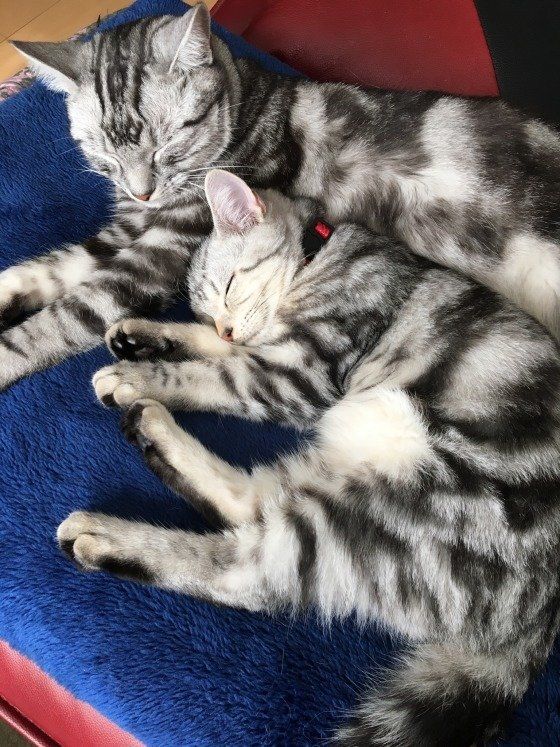 ２人だとあったかーい