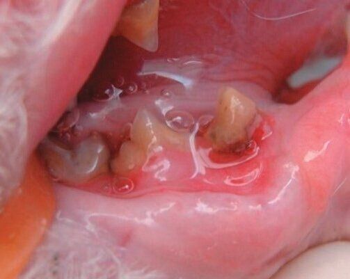 見た目にあらわれる症状