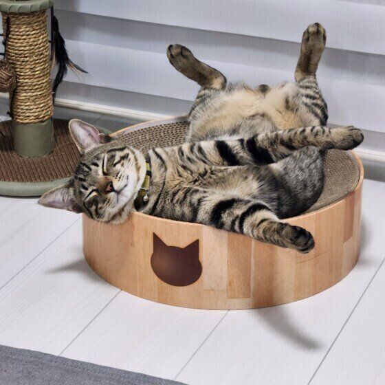 安心して寝る海(かい)くん（MIX）