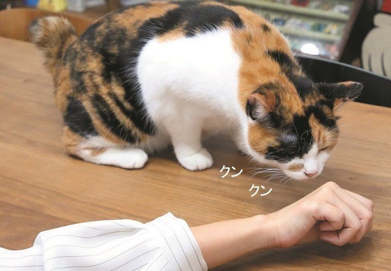 撮影／尾﨑たまき