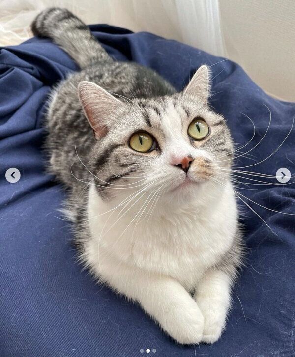 まったりするふにちゃん