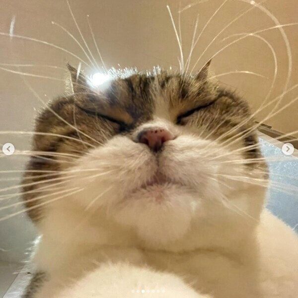 ヒゲがすごいまめすけくん