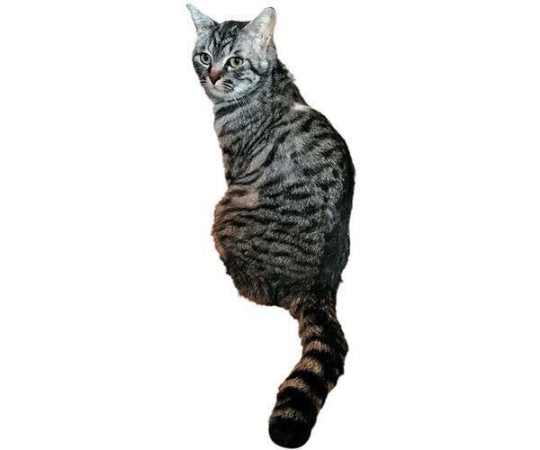 2才の頃の千美子ちゃん