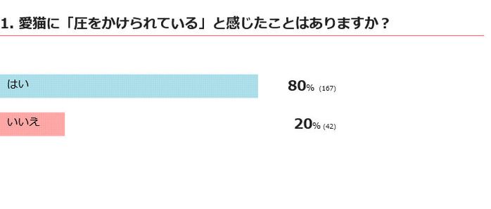 愛猫に圧をかけられていると感じる?