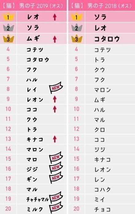 猫の名前ランキング2019（オス）