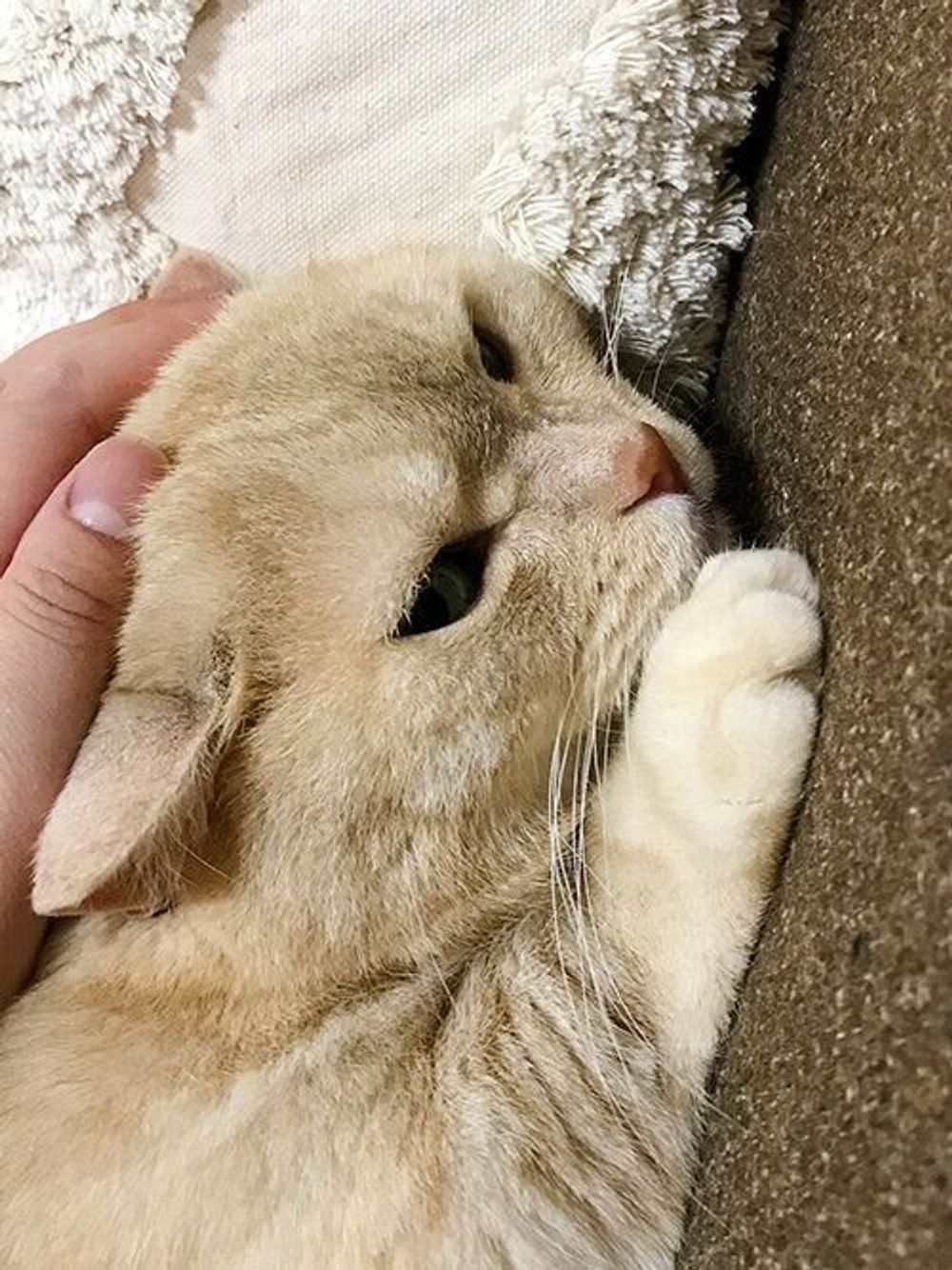 Ayaeo9gid1uiym Ayaeo9gid1uiym