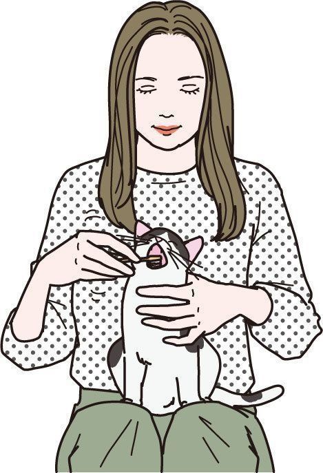 イラスト／二階堂ちはる