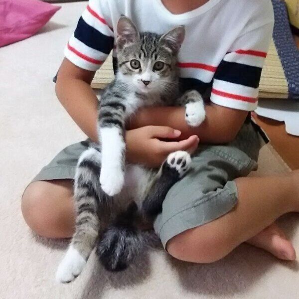 抱っこされるまめたろくん