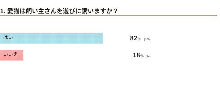 愛猫に遊びに誘われる？