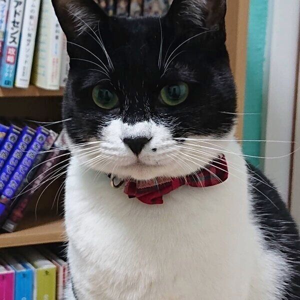 ふくふくと育ったモンドちゃん