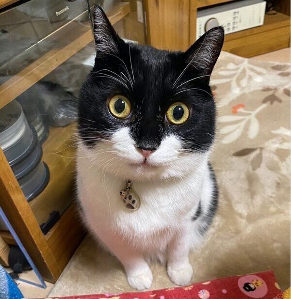 見つめるうりくん