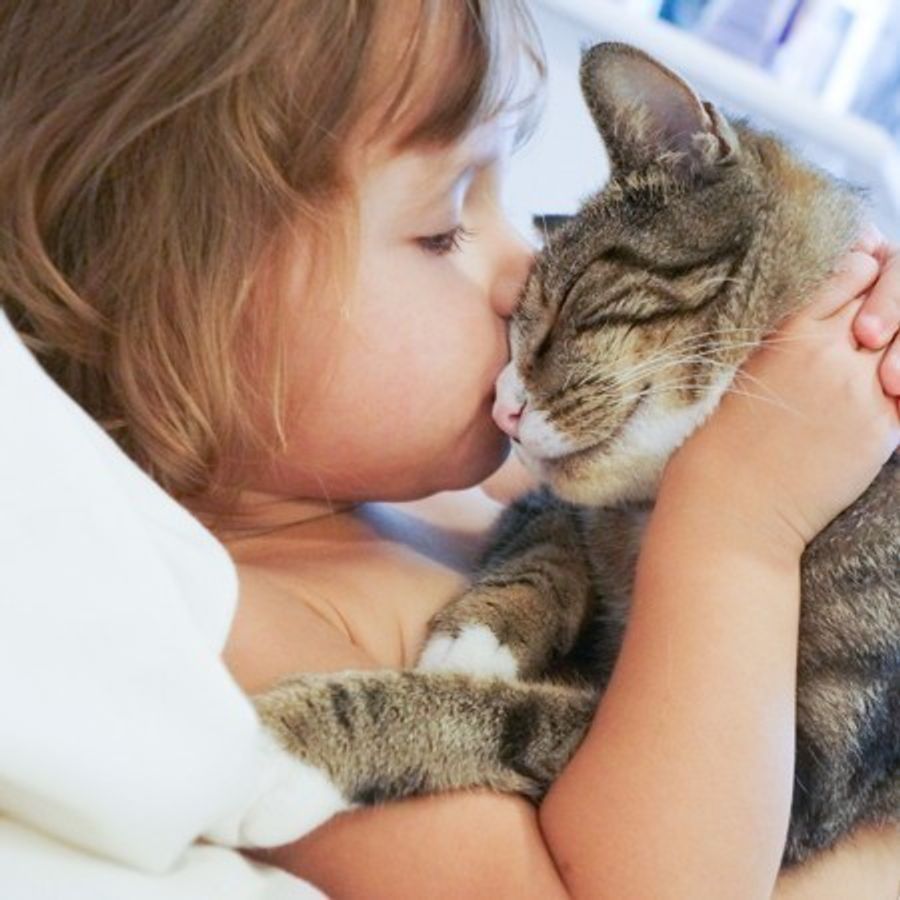 子どもと仲良しになれる猫は どんな性格 もっと知りたい猫の生態 ねこのきもちweb Magazine 子どもと仲良しになれる猫は どんな性格 もっと知りたい猫の生態 ねこのきもちweb Magazine