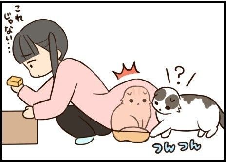 「もふもふスコタン」サムネイル