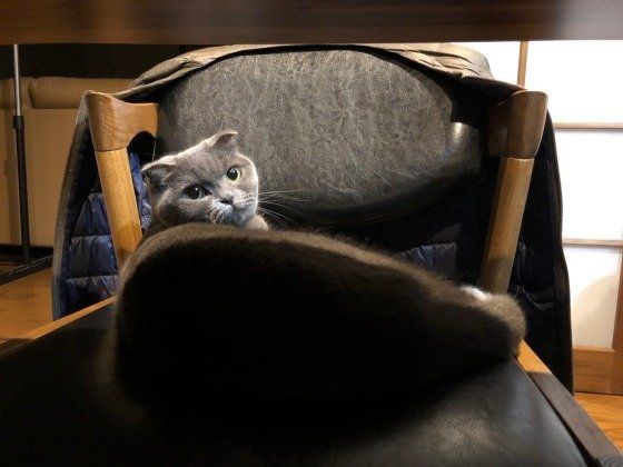 椅子の上でゆっくり