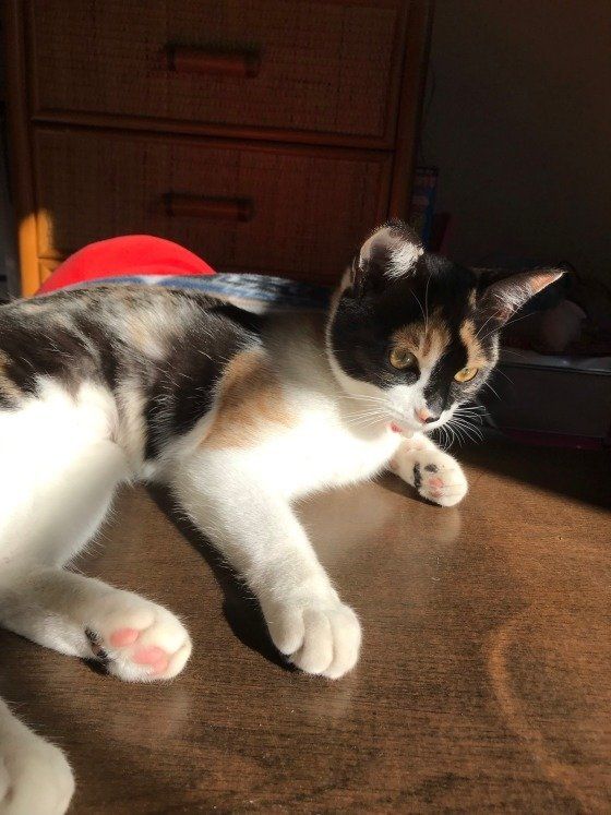 ひなたでポカポカ