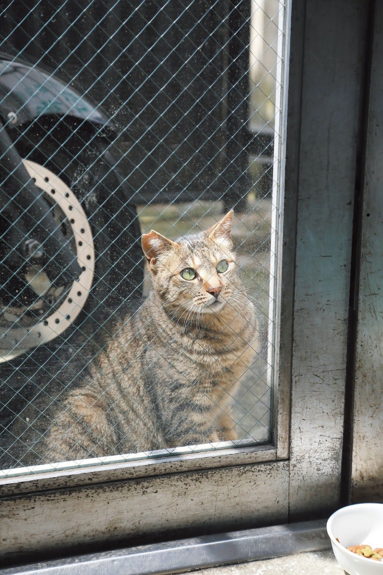 撮影／尾﨑たまき