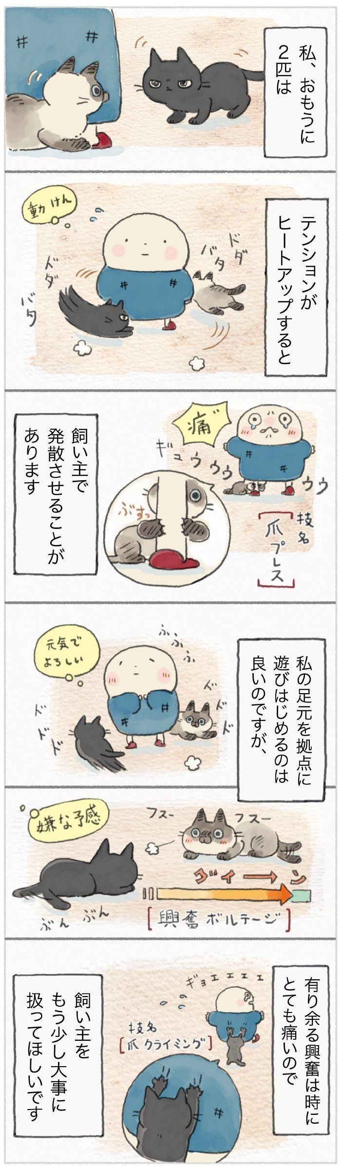 「ねこ連れ草」78話め