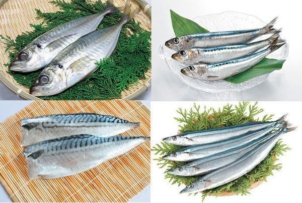 アジ、イワシ、サバ、サンマ