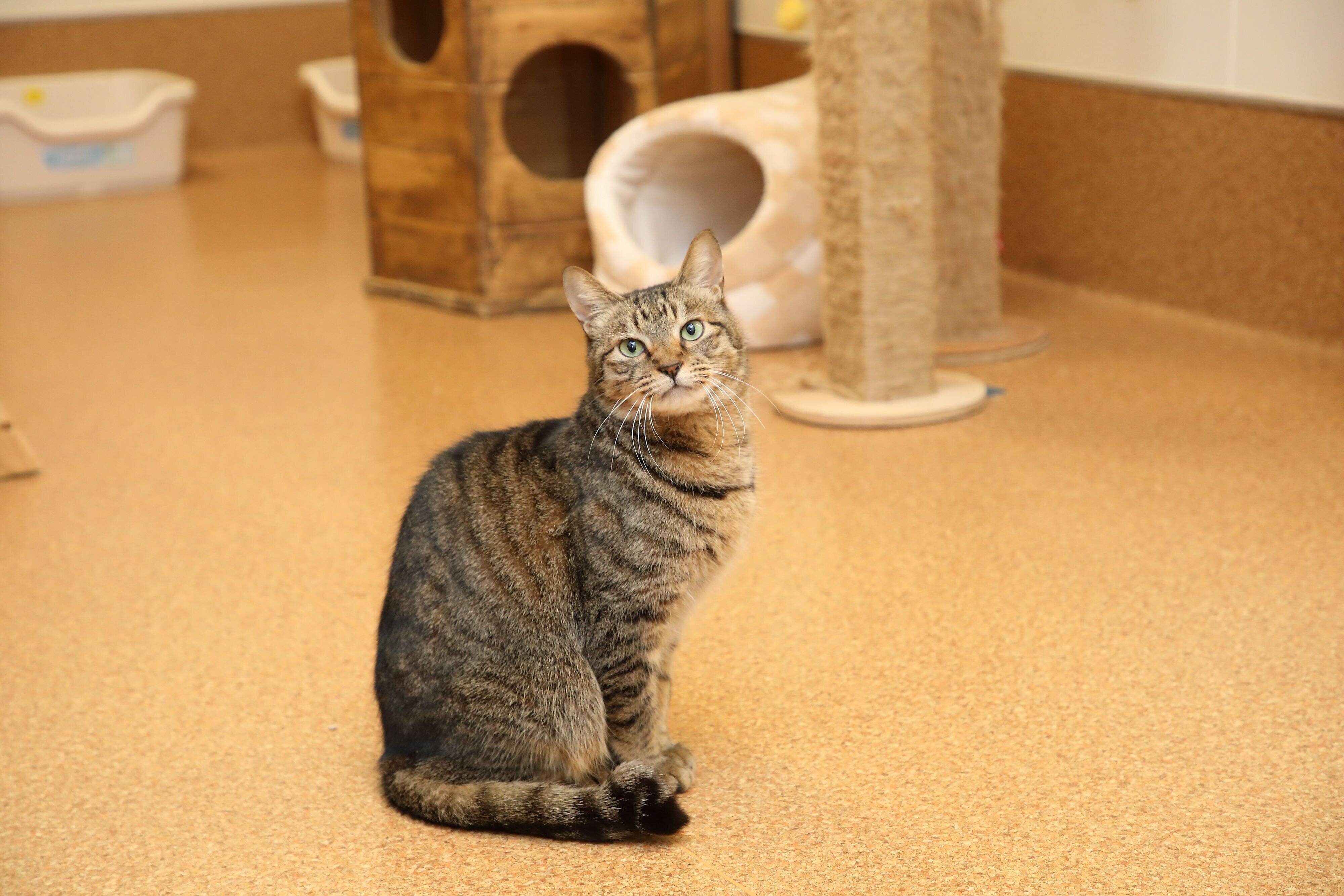 撮影／尾﨑たまき