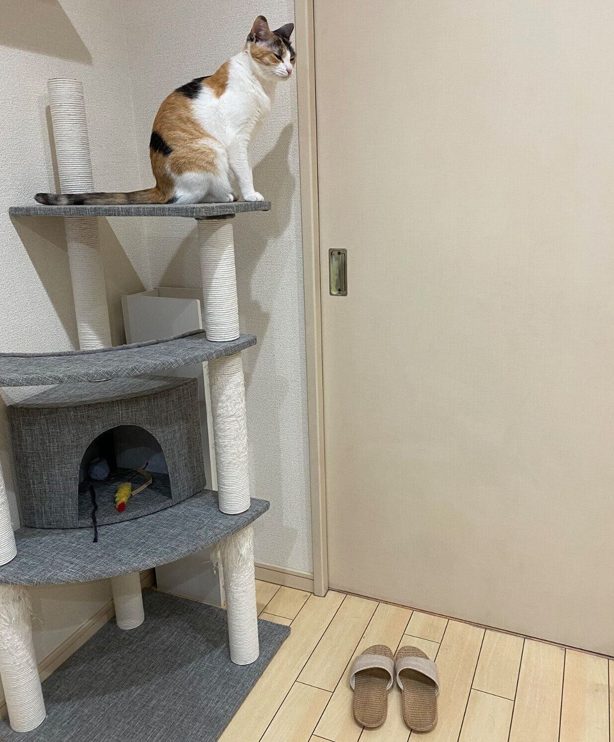 ママさんが出てくるのを待つモチちゃん