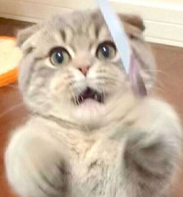 口が半開きになるたこやきくん