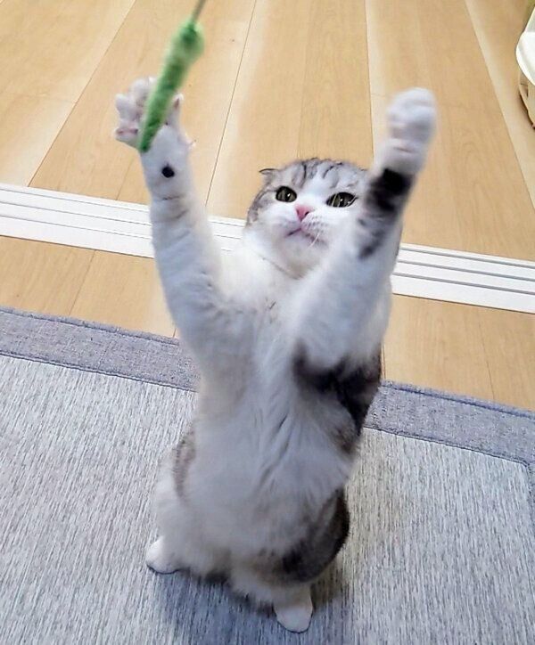 おもちゃで遊ぶ倫太郎くん