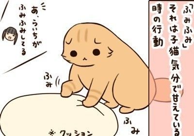 「もふもふスコたん」サムネイル