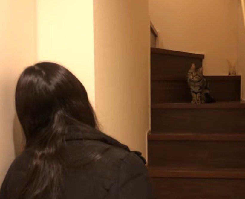 だるまさんがころんだ