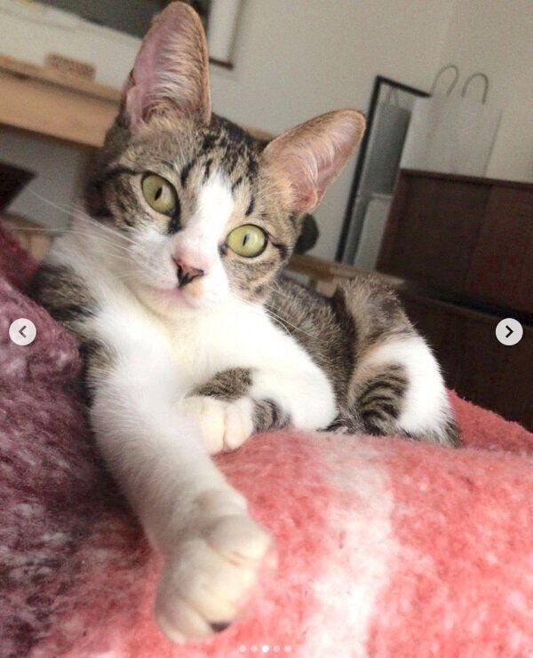 くつろぐふきちゃん