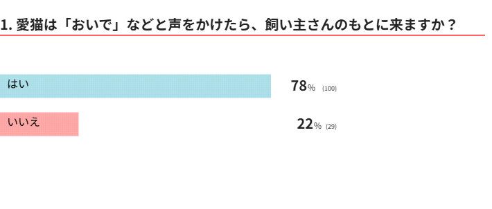 愛猫は「おいで」に反応する？