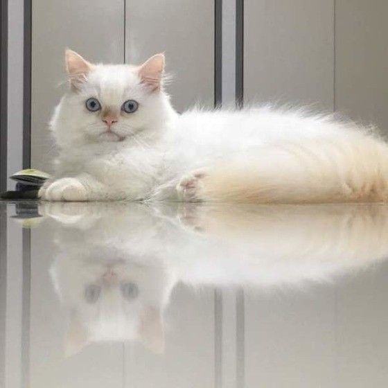 急に写真撮られてびっくり