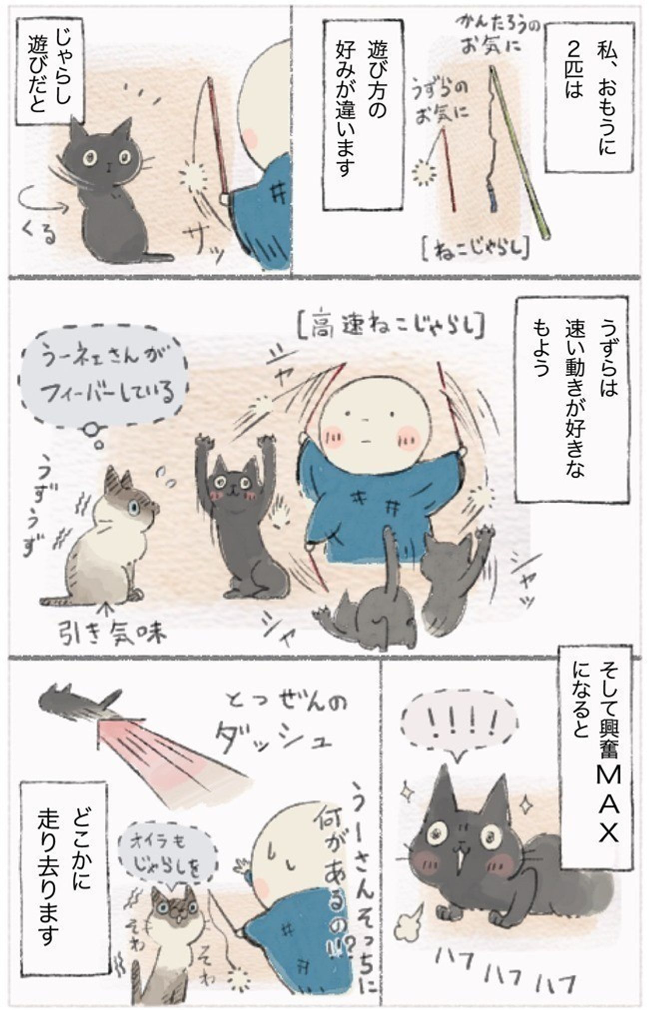 ねこじゃらしの動かし方にも好みがあるのね うずらの場合 ねこ連れ草 7話め ねこのきもちweb Magazine ねこじゃらしの動かし方にも好みがあるのね うずらの場合 ねこ連れ草 7話め ねこのきもちweb Magazine