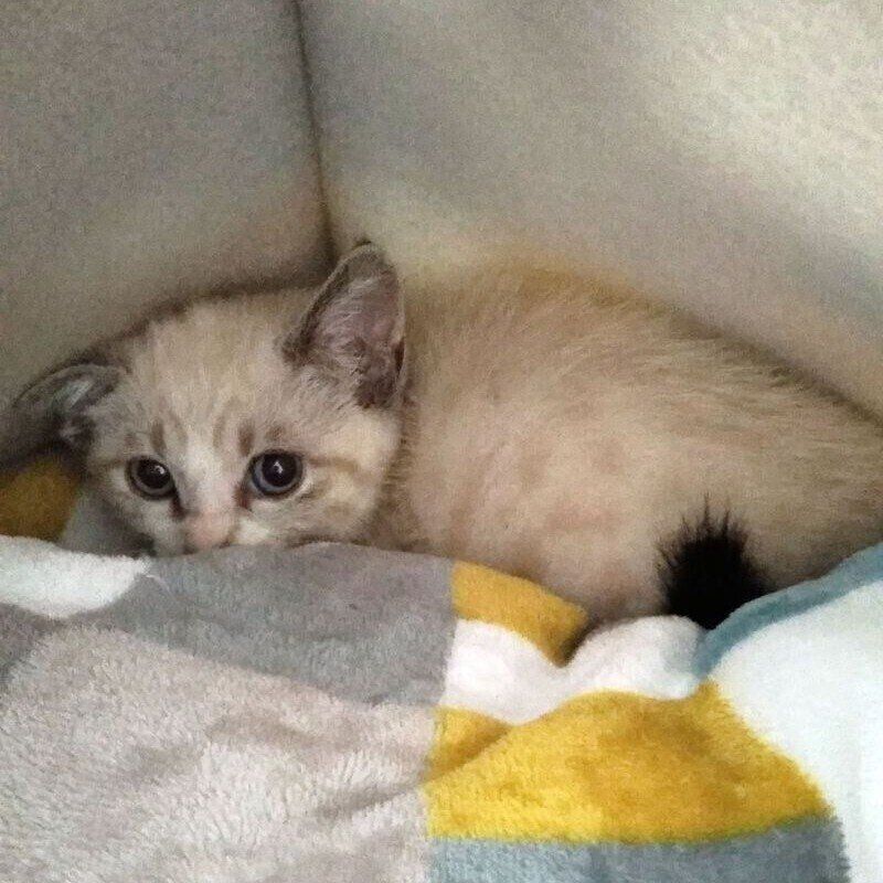 奥のほうでうずくまるすいちゃん。