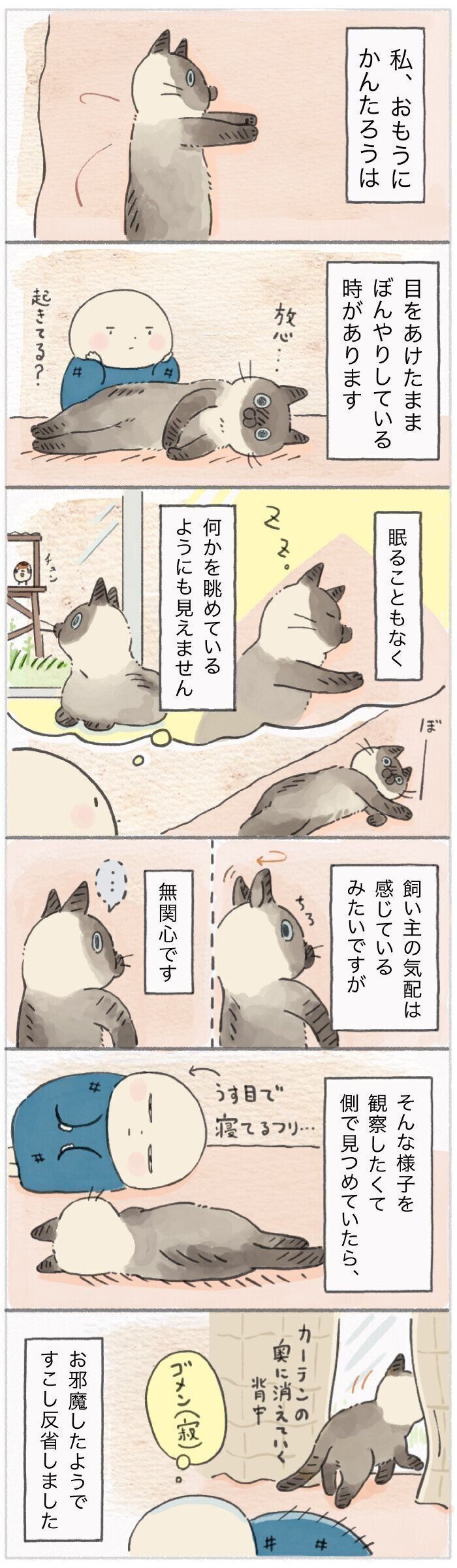「ねこ連れ草」182話め