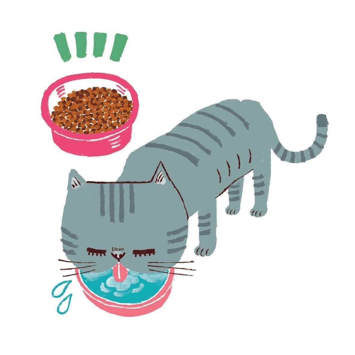 イラスト／Studio CUBE.