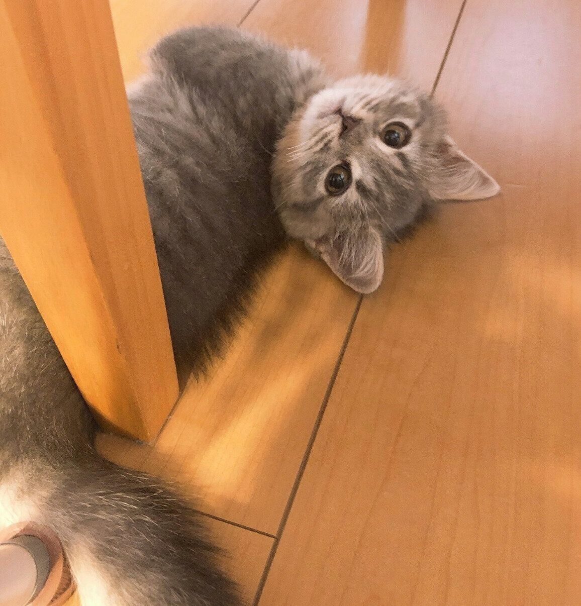 生後2カ月のころに撮影した凛太郎くん