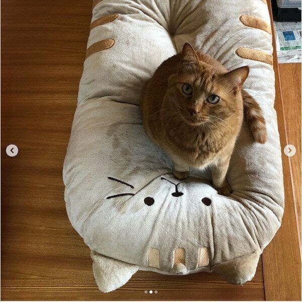 「ふくふくにゃんこ」グッズ